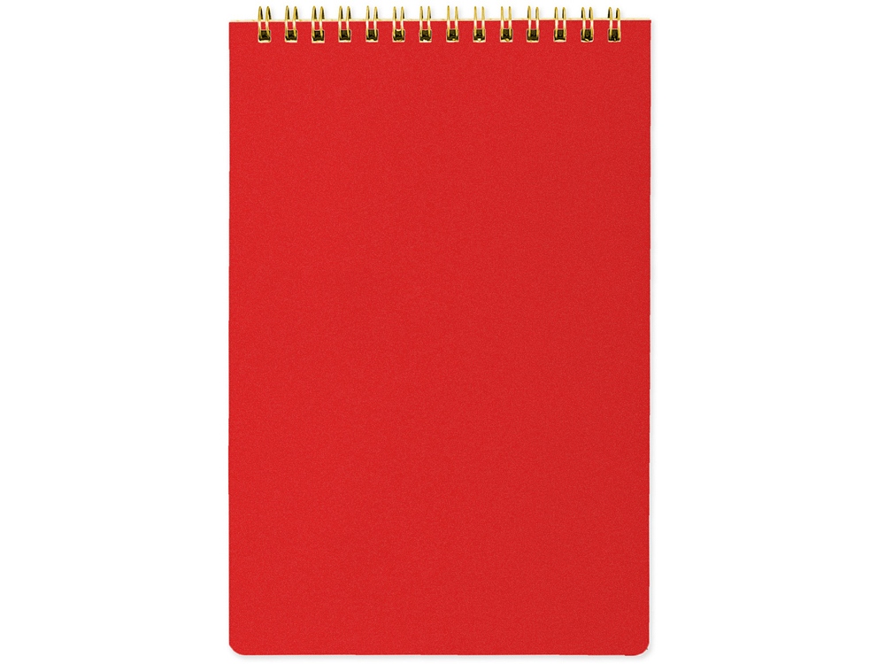 Блокнот А5 Pragmatic