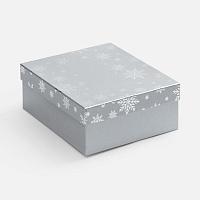 Коробка Wintry, серебристая