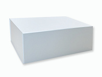 Подарочная коробка с магнитом (средняя 310x210x100 мм)