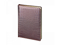 Ежедневник недатированный А5 Caiman Ежедневник недатированный А5 Caiman